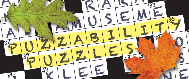 puzzabilitypuzzles